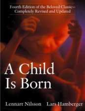 a child is born - coverbrowser com
