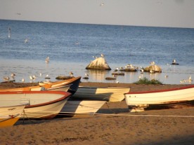 boats in the sunseet