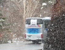 spring snow - mt fuji
